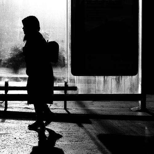 Photo #8806240