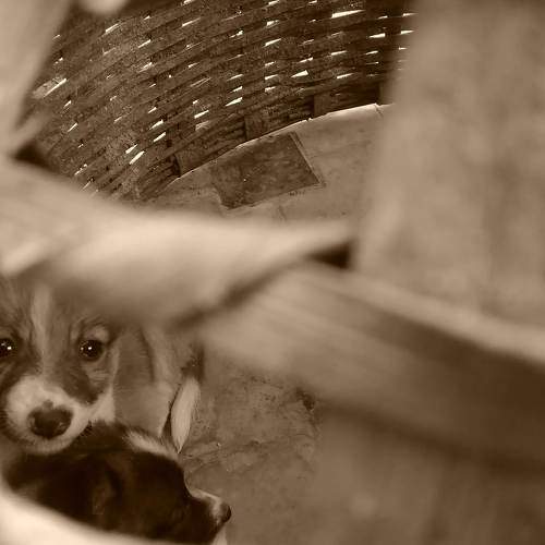 Photo #8806341