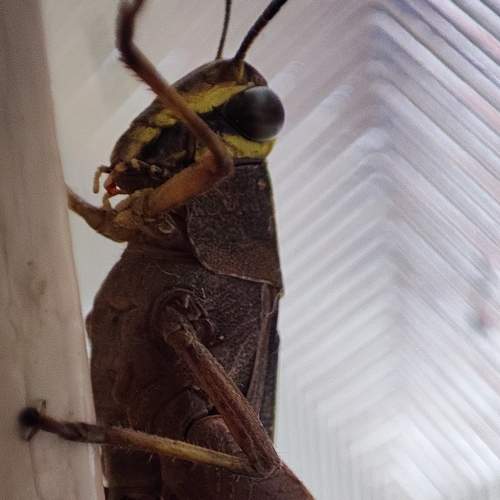 Photo #8806353