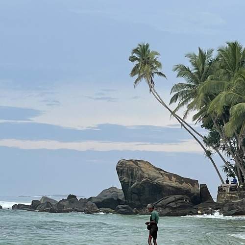 Photo #8806415