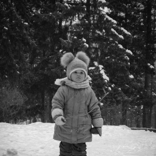 Photo #8806492