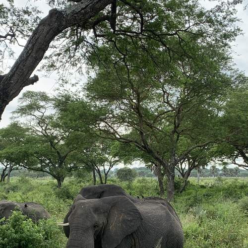 Photo #8806566