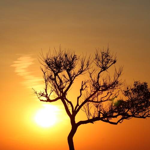 Photo #8807068