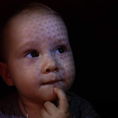 Photo #8807429