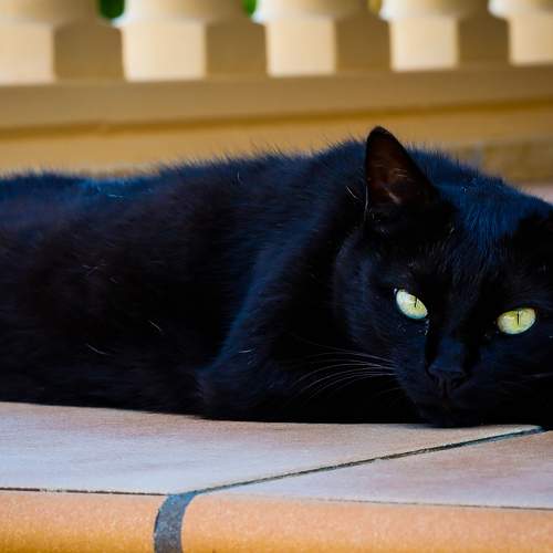 Photo #8807895