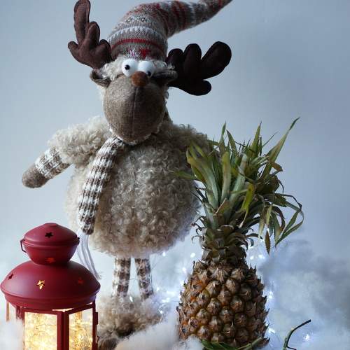 Photo #8808085