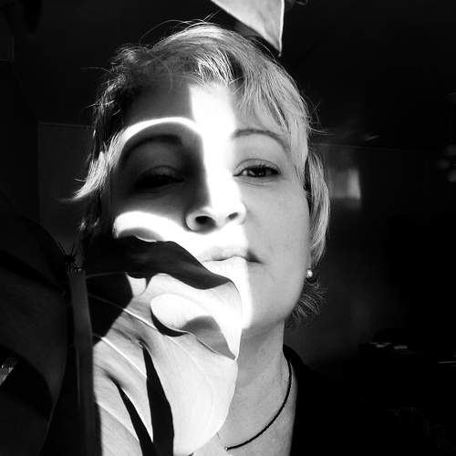 Photo #8808106