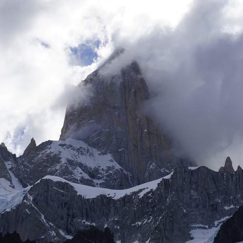 Photo #8808130