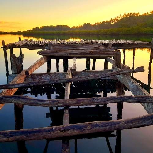 Photo #8808147