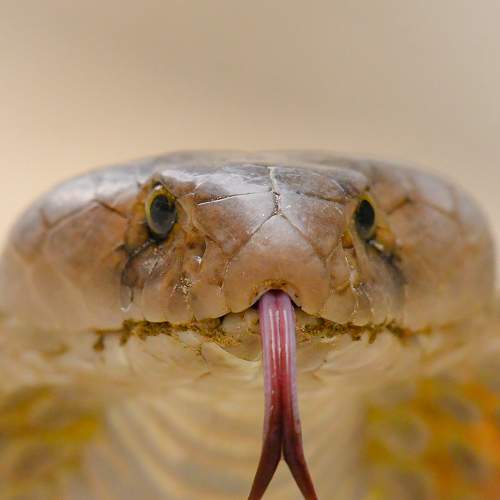 Photo #8808197