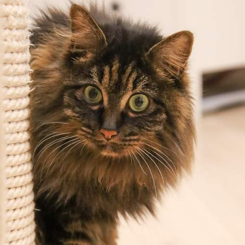 Photo #8808206