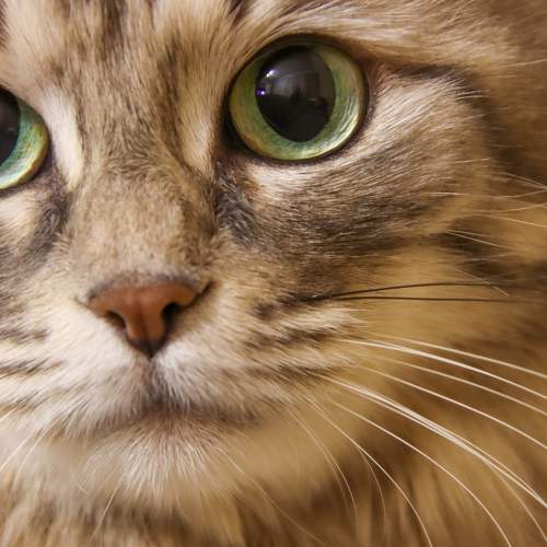 Photo #8808218