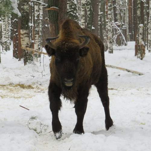 Photo #8808257