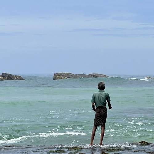 Photo #8808317