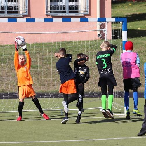 Photo #8808400