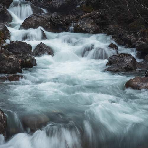 Photo #8808513