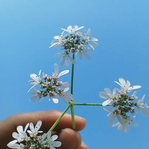 Photo #8808520