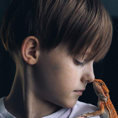 Photo #8808538