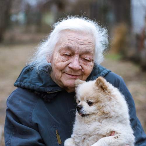 Photo #8808706