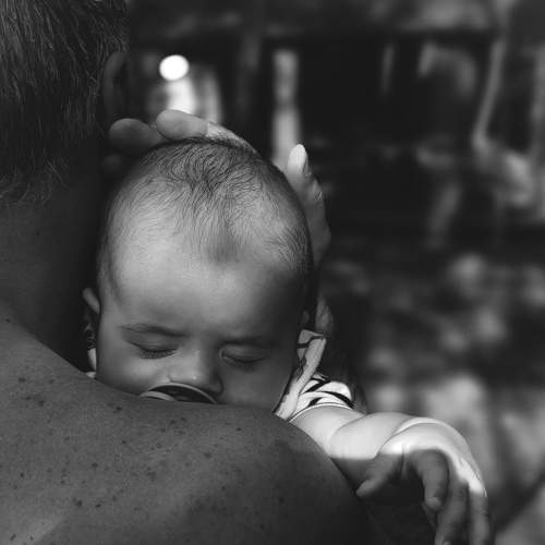 Photo #8808921
