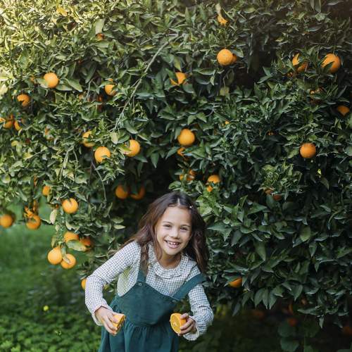 Photo #8808985