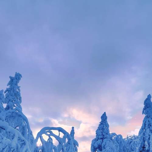 Photo #8809428