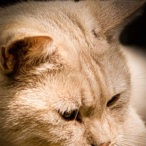 Photo #8809577