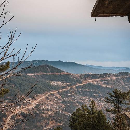 Photo #8810015