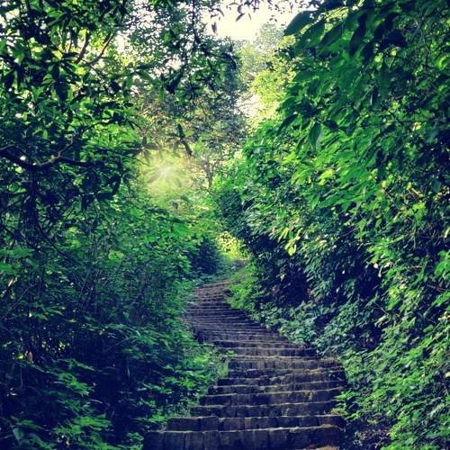 Photo #8810256
