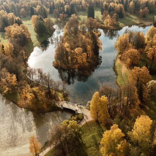 Photo #8810389