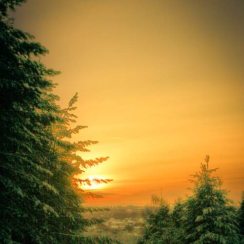 Photo #8810710