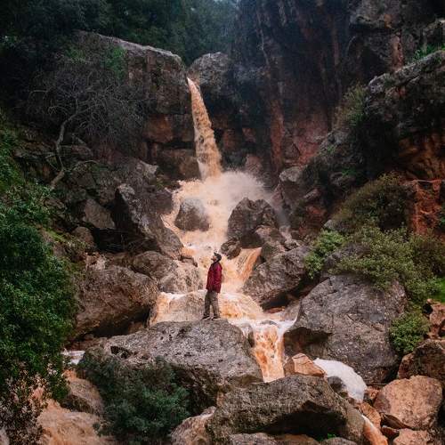 Photo #8810741