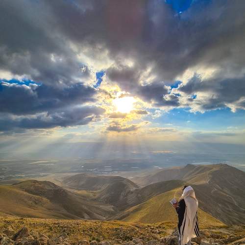 Photo #8810743