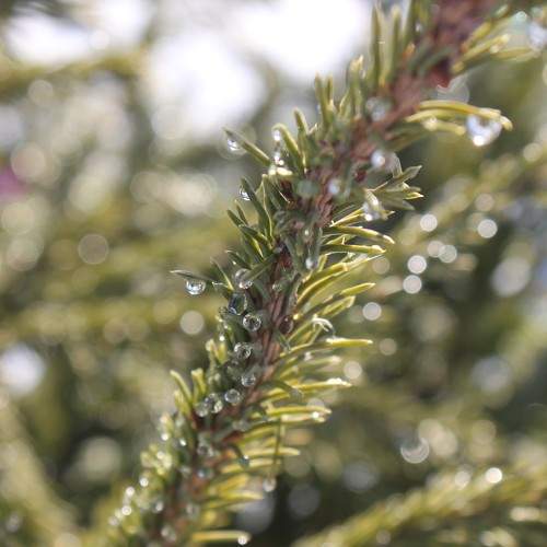 Photo #8810769