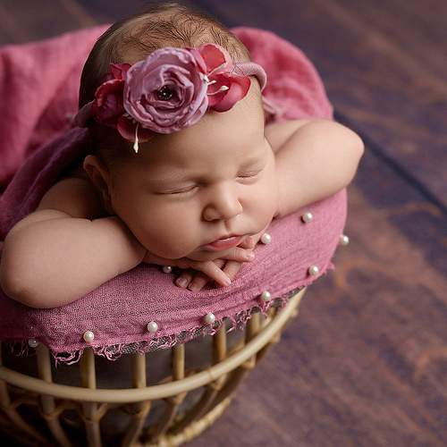 Photo #8811201