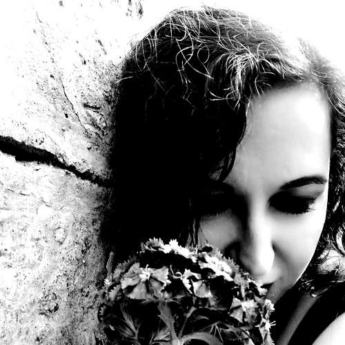 Photo #8811215