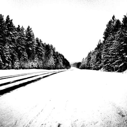 Photo #8811216