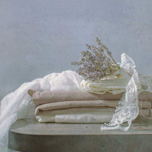 Photo #8811681