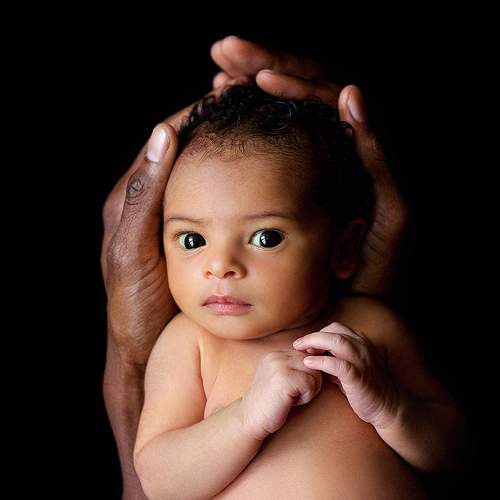 Photo #8811721