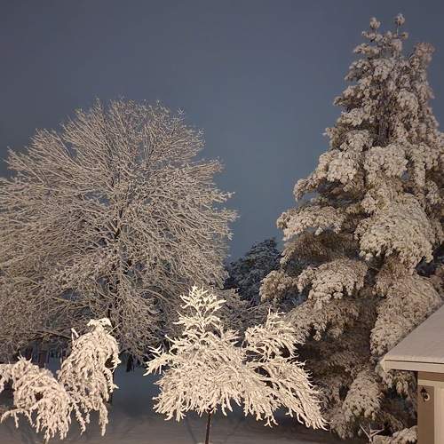Photo #8811821