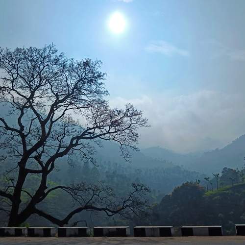 Photo #8812024