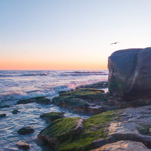 Photo #8812258