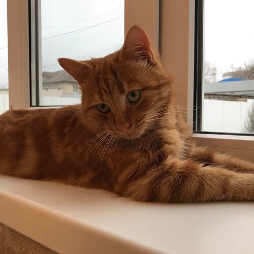 Photo #8812281