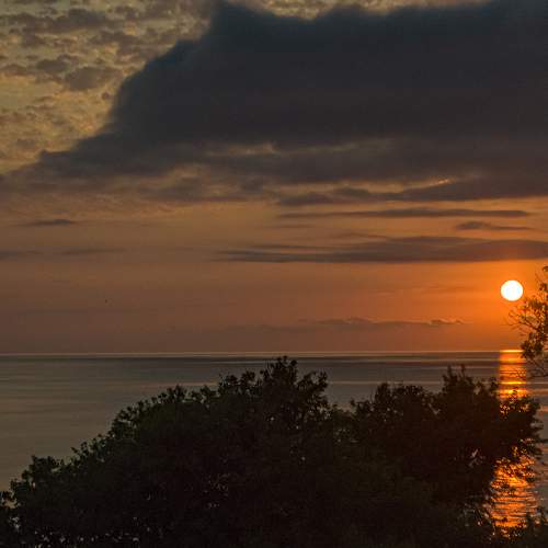 Photo #8812321