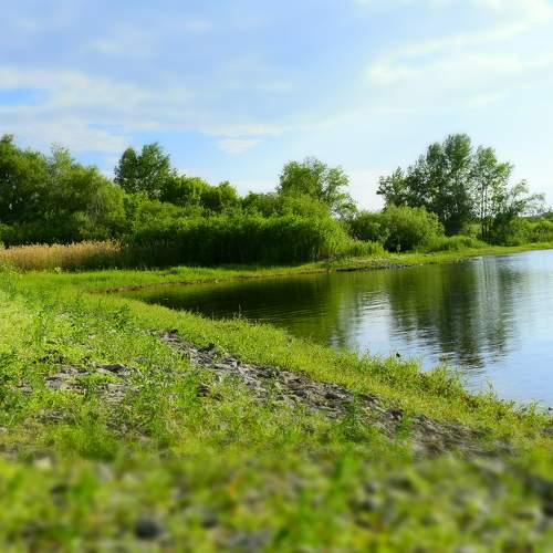 Photo #8812393