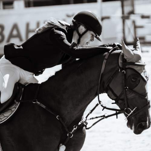 Photo #8812498