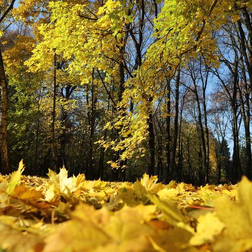 Photo #8812529