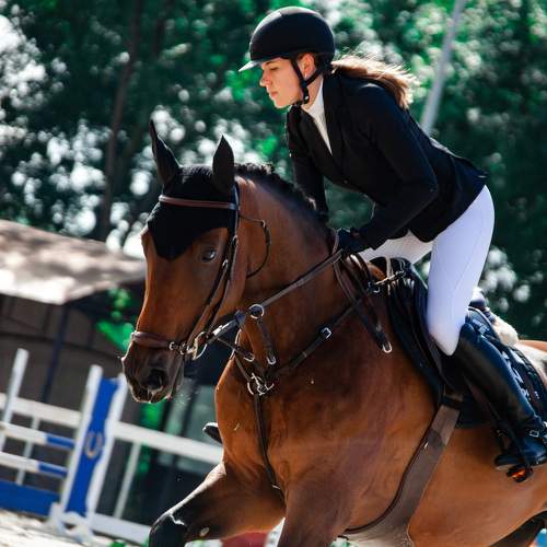 Photo #8812535