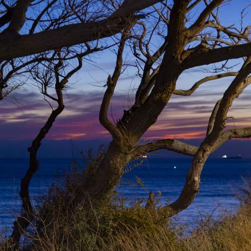 Photo #8812636