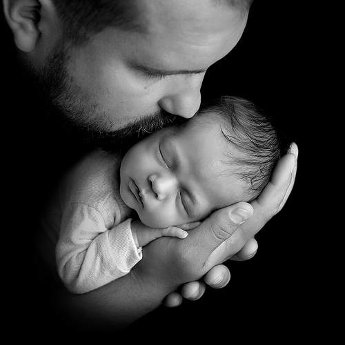 Photo #8812641